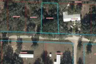 Tdb SE 74th Pl, Morriston, FL 32668 - Photo 1