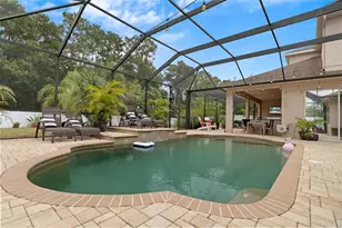 1726 Nodding Thistle Dr, New Port Richey, FL 34655 - Photo 61