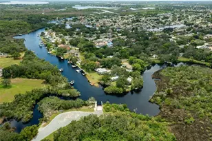 1726 Nodding Thistle Dr, New Port Richey, FL 34655 - Photo 79