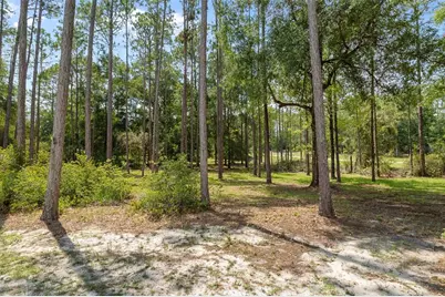 21747 SW 82nd Loop, Dunnellon, FL 34431 - Photo 49