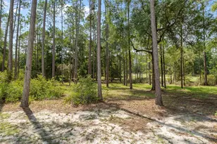 21747 SW 82nd Loop, Dunnellon, FL 34431 - Photo 49