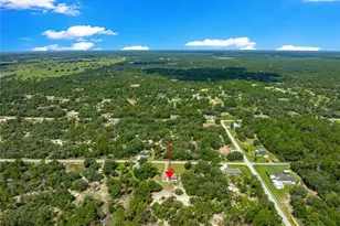 4731 SW Gardenia Ct, Dunnellon, FL 34431 - Photo 57
