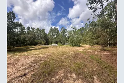 0 NE 127th Court, Williston, FL 32696 - Photo 3