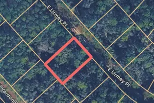 1148 E Urmey Pl, Citrus Springs, FL 34434 - Photo 1