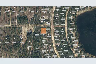 Tbd Rose Trl, Interlachen, FL 32148 - Photo 3