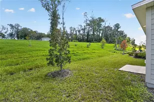 16515 NW 144 St, Alachua, FL 32615 - Photo 35