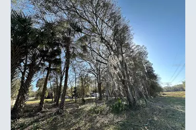 Tbd NE 151 Lane, Fort Mc Coy, FL 32134 - Photo 1