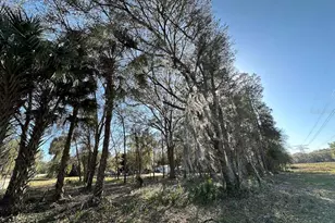 Tbd NE 151 Ln, Fort Mc Coy, FL 32134 - Photo 1