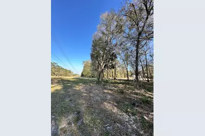 Tbd NE 151 Lane, Fort Mc Coy, FL 32134 - Photo 5