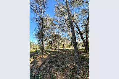 Tbd NE 151 Lane, Fort Mc Coy, FL 32134 - Photo 3