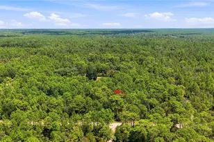 5257 N Satin Terrace, Dunnellon, FL 34432 - Photo 21