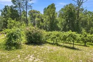 5257 N Satin Terrace, Dunnellon, FL 34432 - Photo 27