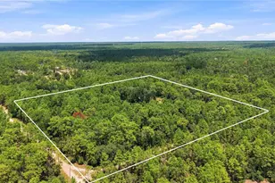 5257 N Satin Terrace, Dunnellon, FL 34432 - Photo 47