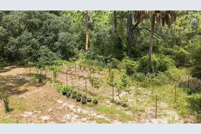 5257 N Satin Terrace, Dunnellon, FL 34432 - Photo 5