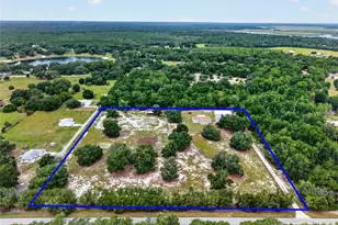 10648 SE Hwy 464C, Ocklawaha, FL 32179 - Photo 45