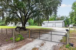 10648 SE Hwy 464C, Ocklawaha, FL 32179 - Photo 3