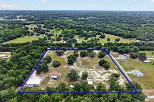 10648 SE Hwy 464C, Ocklawaha, FL 32179 - Photo 47