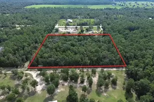 Tbd NE 135th Terrace, Williston, FL 32696 - Photo 1