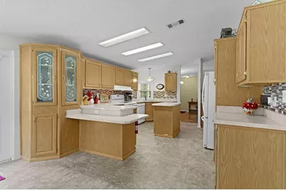 705 Oak Boulevard, Wildwood, FL 34785 - Photo 13