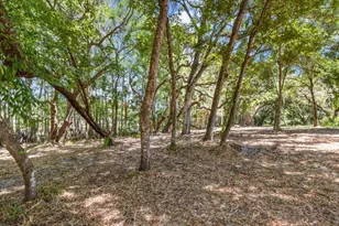 1255 S Estate Point, Inverness, FL 34450 - Photo 45