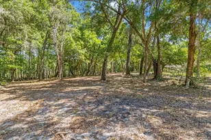 1255 S Estate Point, Inverness, FL 34450 - Photo 43