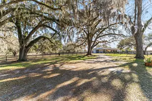 15151 NW 162nd Terrace, Williston, FL 32696 - Photo 15