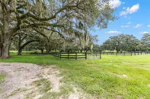 15151 NW 162nd Terrace, Williston, FL 32696 - Photo 69