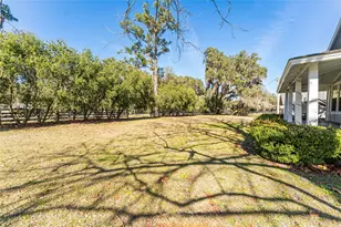 15151 NW 162nd Terrace, Williston, FL 32696 - Photo 11