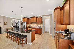 9895 SW 95th Loop, Ocala, FL 34481 - Photo 31