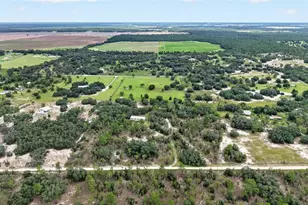 13291 SE 101st Pl, Dunnellon, FL 34431 - Photo 3