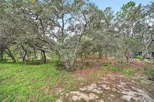 13291 SE 101st Pl, Dunnellon, FL 34431 - Photo 27