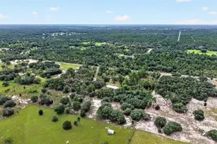 13291 SE 101st Pl, Dunnellon, FL 34431 - Photo 9