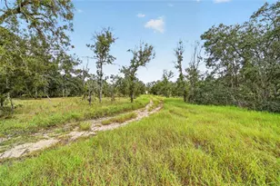 13291 SE 101st Pl, Dunnellon, FL 34431 - Photo 17
