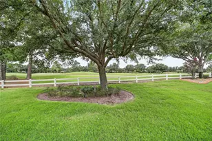 8815 SW 83rd Court Rd, Ocala, FL 34481 - Photo 11