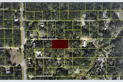 Tbd NE 162nd Lane, 81.82 Lane, Citra, FL 32113 - Photo 1