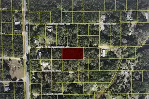Tbd NE 162nd Ln, Citra, FL 32113 - Photo 1