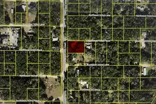 3090 NE 163rd Pl, Citra, FL 32113 - Photo 1
