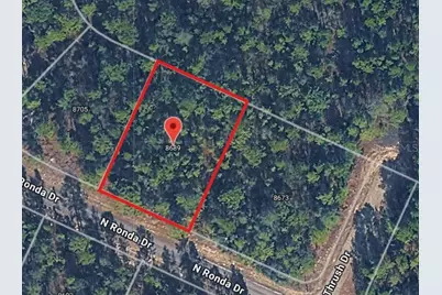 8689 N Ronda Drive, Citrus Springs, FL 34433 - Photo 1