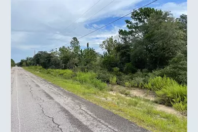 Lot 27 SW Gardenia Court, Dunnellon, FL 34431 - Photo 3