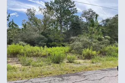 Lot 27 SW Gardenia Court, Dunnellon, FL 34431 - Photo 1