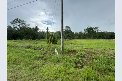 00 SW 204th Avenue, Dunnellon, FL 34431 - Photo 5