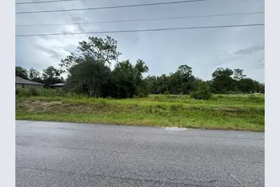 00 SW 204th Avenue, Dunnellon, FL 34431 - Photo 3