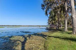 6185 W Riverbend Rd, Dunnellon, FL 34433 - Photo 43