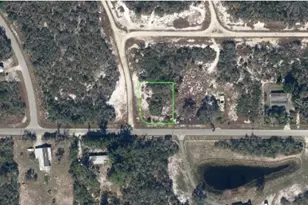 210 Impatiens St, Lake Placid, FL 33852 - Photo 1