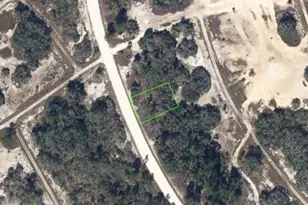 323 Wildwood Dr, Lake Placid, FL 33852 - Photo 1