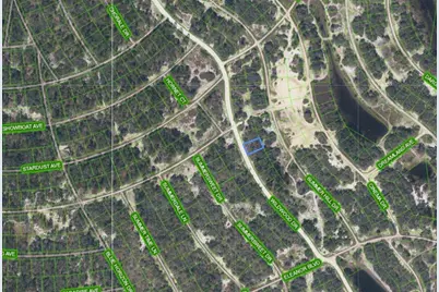323 Wildwood Drive, Lake Placid, FL 33852 - Photo 3