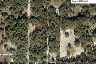 Tbd SW 131st Terrace, Dunnellon, FL 34432 - Photo 1