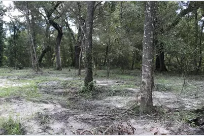 Tbd1 SW 129th Boulevard, Webster, FL 33597 - Photo 3