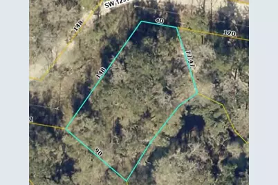Tbd2 SW 129th Boulevard, Webster, FL 33597 - Photo 1