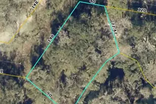 Tbd2 SW 129th Blvd, Webster, FL 33597 - Photo 1